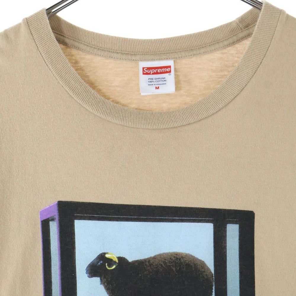 SUPREME(シュプリーム) 25SS Damien Hirst Tee ダミアン ハースト ロゴプリント 半袖Tシャツ カットソー カーキ