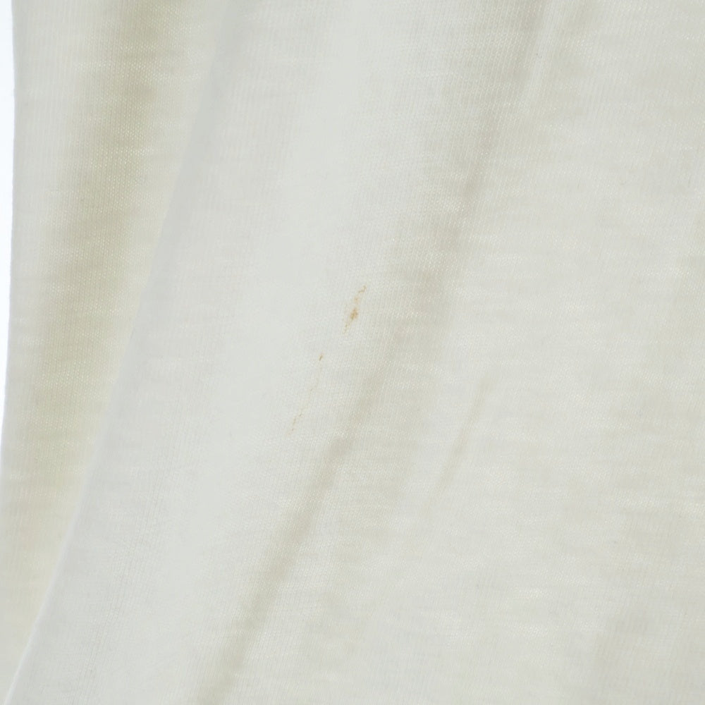 SUPREME(シュプリーム) 11AW Biggy Tee ビギー Tシャツ フォトプリント ホワイト