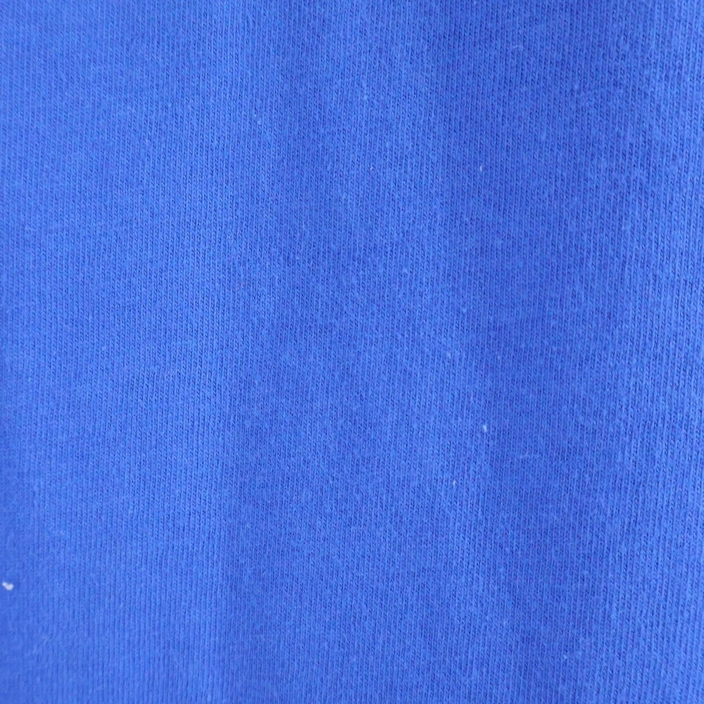 SUPREME(シュプリーム) 18SS Nan Goldin as a dominatrix Tee ナン・ゴールディン フロントプリント 半袖Tシャツ カットソー ブルー