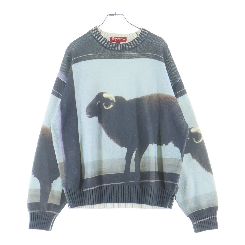SUPREME(シュプリーム) 25SS Damien Hirst Sweater Black ダミアンハースト クルーネック ニットセーター ブルー