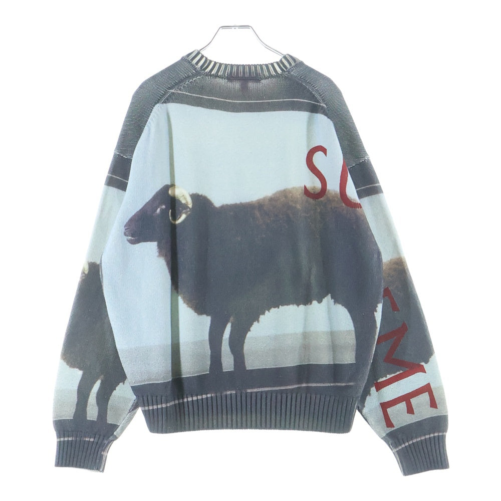 SUPREME(シュプリーム) 25SS Damien Hirst Sweater Black ダミアンハースト クルーネック ニットセーター ブルー