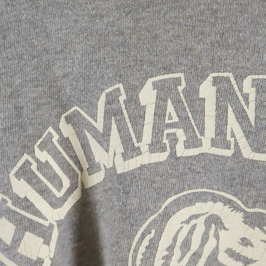 HUMAN MADE(ヒューマンメイド) 12AW 初期 ロゴプリント クルーネック スウェットトレーナー グレー