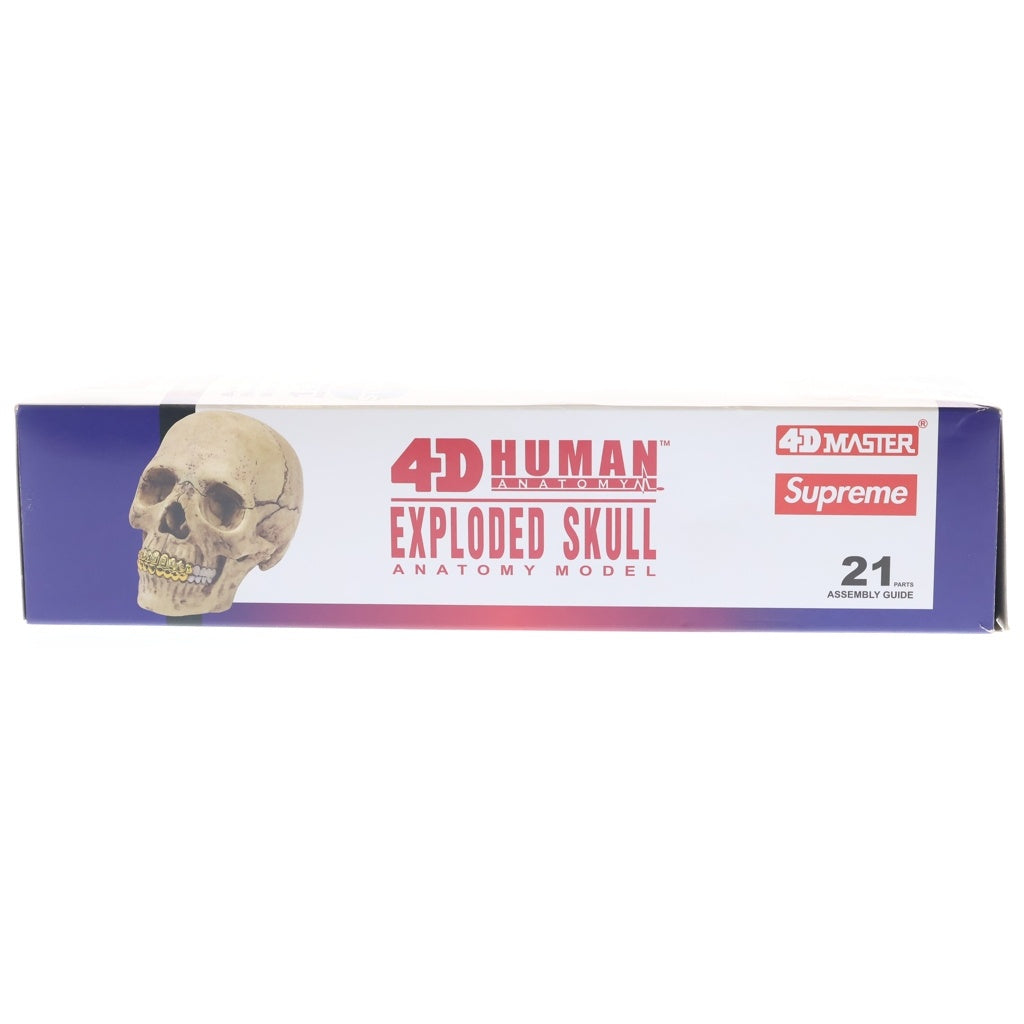 SUPREME(シュプリーム) 23AW 4D Model Human Skull Natural 4Dモデル 頭蓋骨模型パズル フィギュア ベージュ