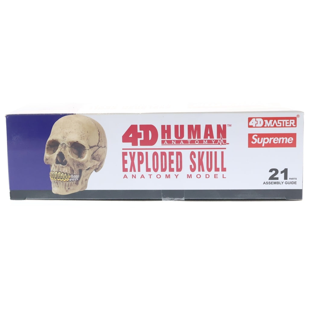 SUPREME(シュプリーム) 23AW 4D Model Human Skull Natural 4Dモデル 頭蓋骨模型パズル フィギュア ベージュ