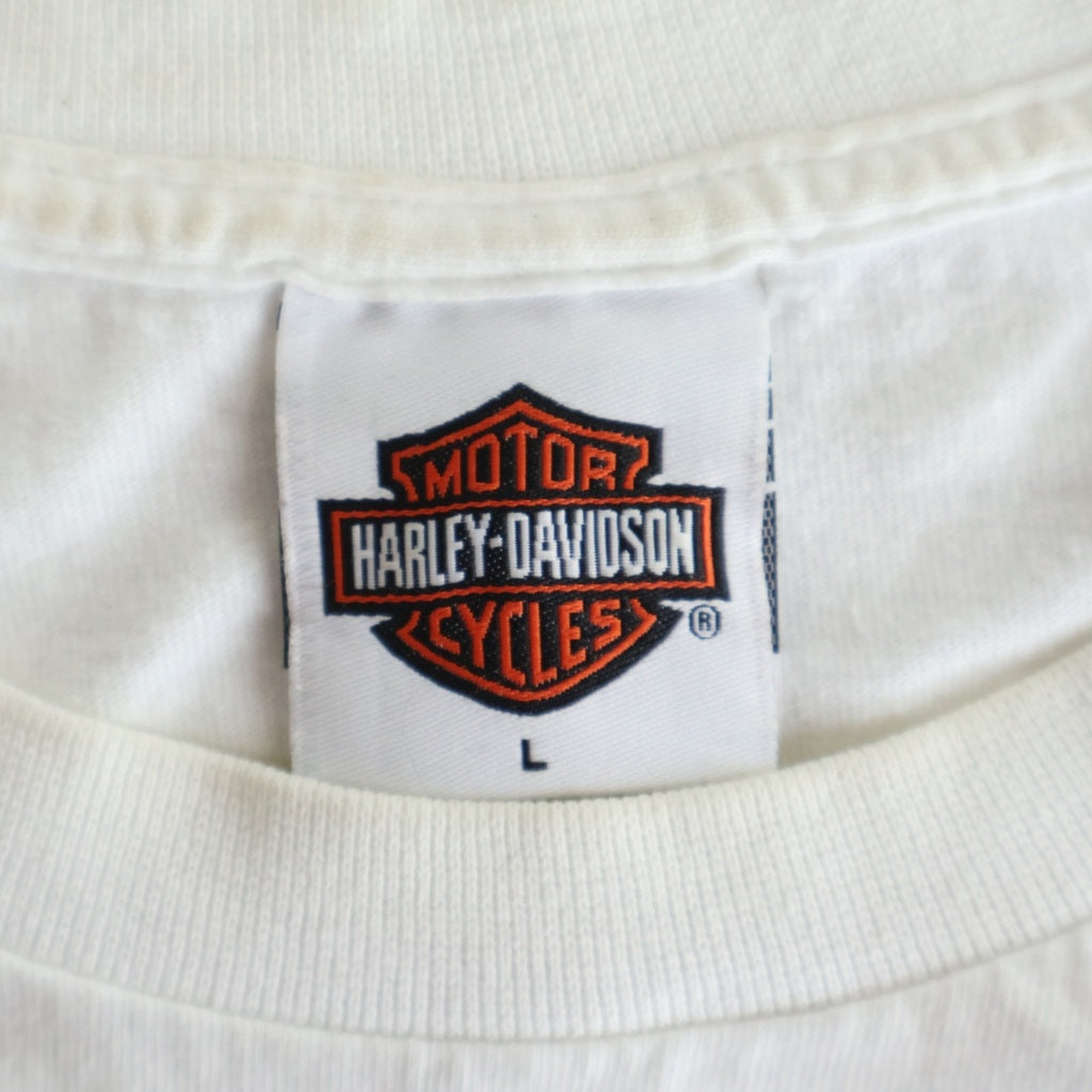 VINTAGE(ヴィンテージ) 00S Harley-Davidson Flame Pattern L/S T-Shirt ハーレーダビッドソン フレイムパターン 長袖Tシャツ ロンT ホワイト