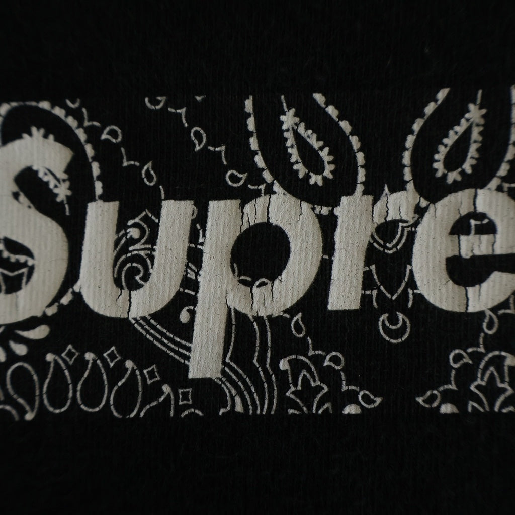 SUPREME(シュプリーム) 19AW Bandana Box Logo Tee バンダナボックスロゴ 半袖Tシャツ ブラック