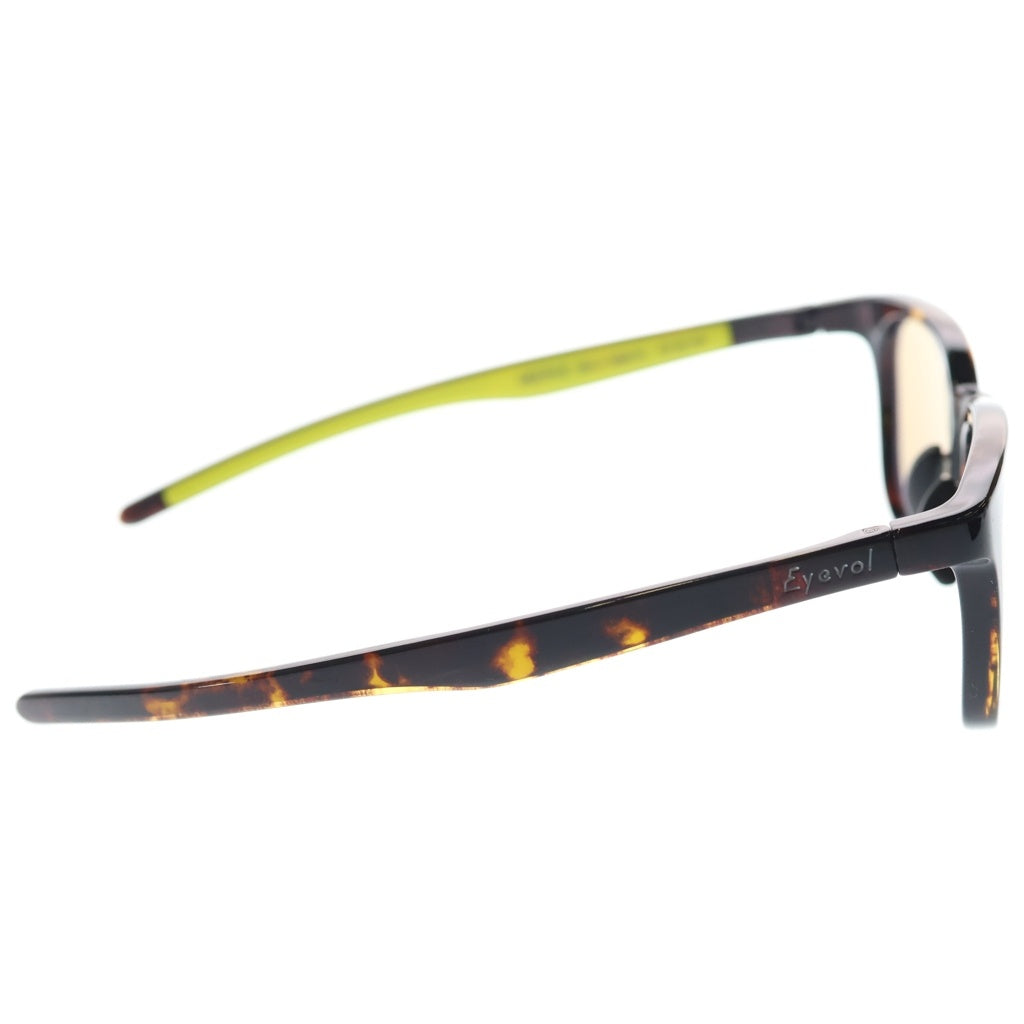 EyeVol(アイヴォル) HEATH 3 偏光レンズ ウェリントンサングラス 眼鏡 アイウェア ブラウン DM-LY-MBR