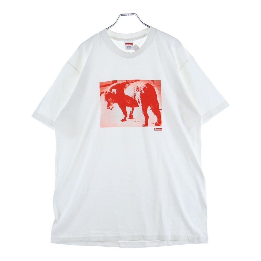 SUPREME(シュプリーム) 22SS Daido Moriyama Dog Tee 森山大道 ドッグプリント 半袖Tシャツ ホワイト