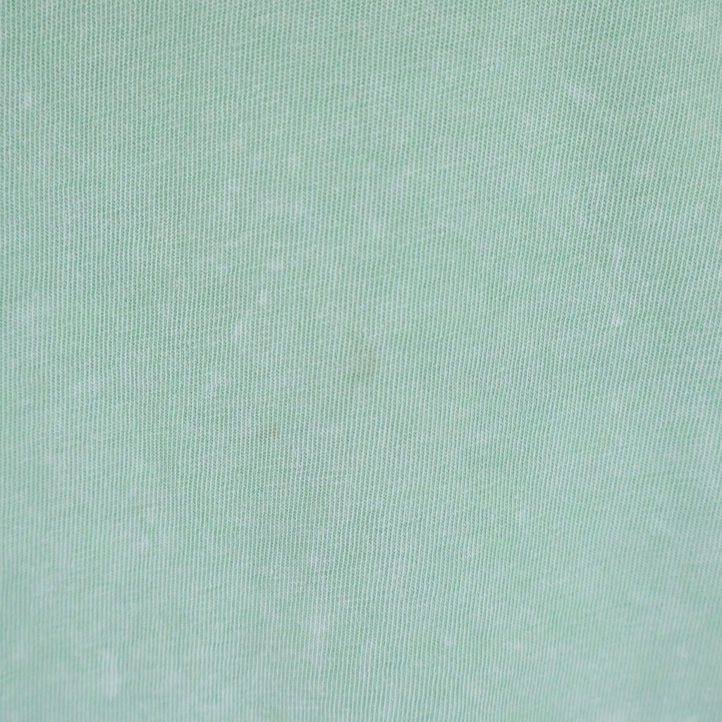 ALEXANDER WANG(アレキサンダーワン) Acid T-Shirt フェード加工 半袖Tシャツ グリーン