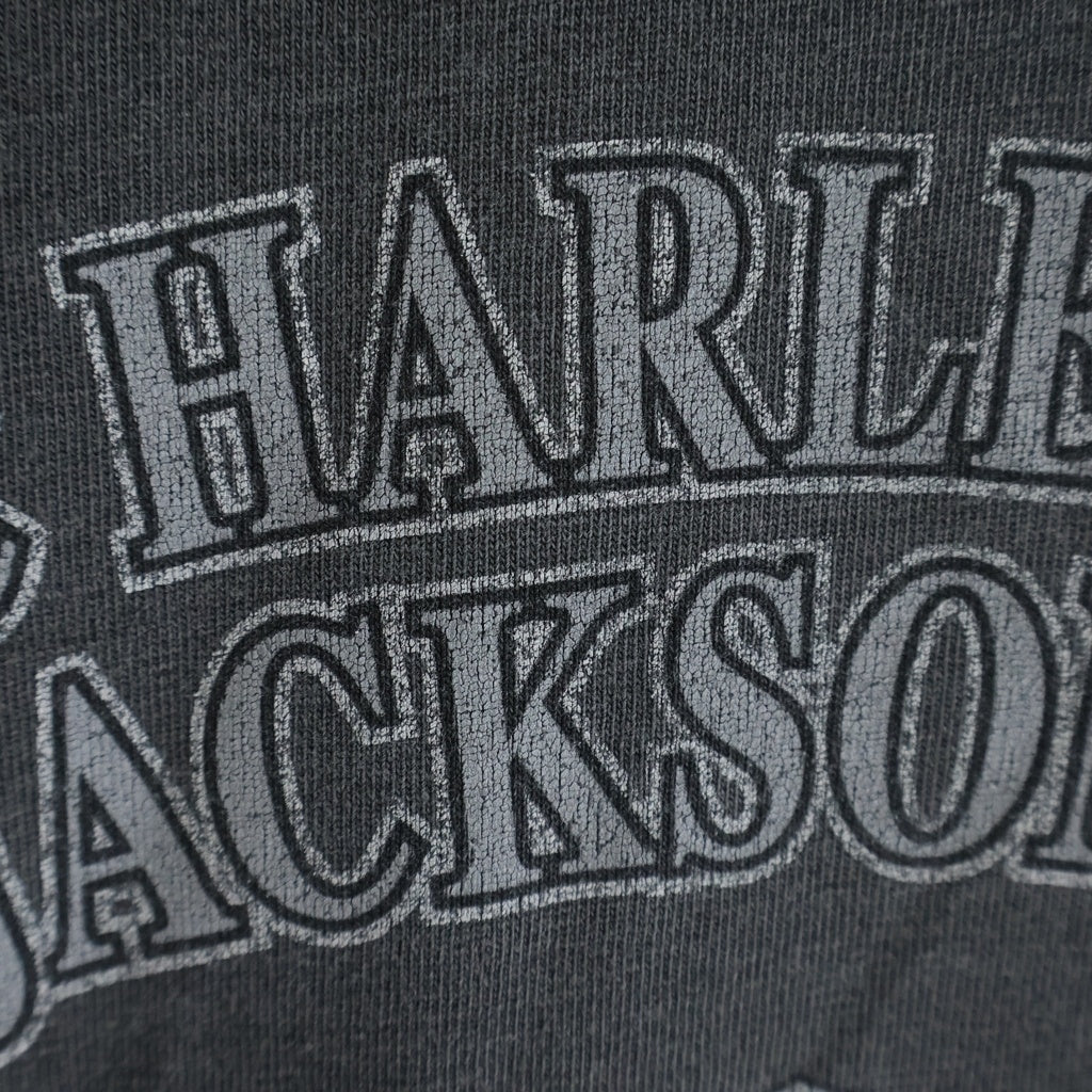 VINTAGE(ヴィンテージ) Harley-Davidson ハーレーダビッドソン アームフレイムロゴ 長袖Tシャツ ロンT グレー