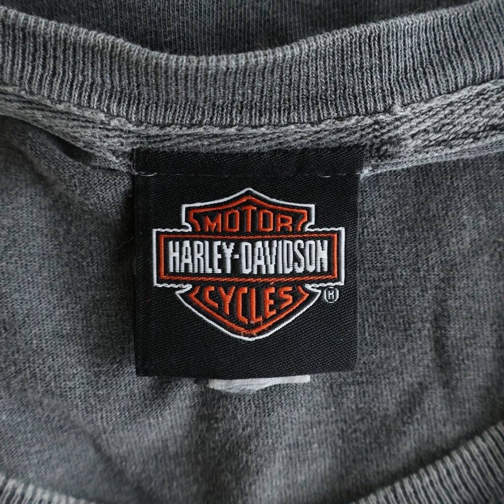 VINTAGE(ヴィンテージ) Harley-Davidson ハーレーダビッドソン アームフレイムロゴ 長袖Tシャツ ロンT グレー