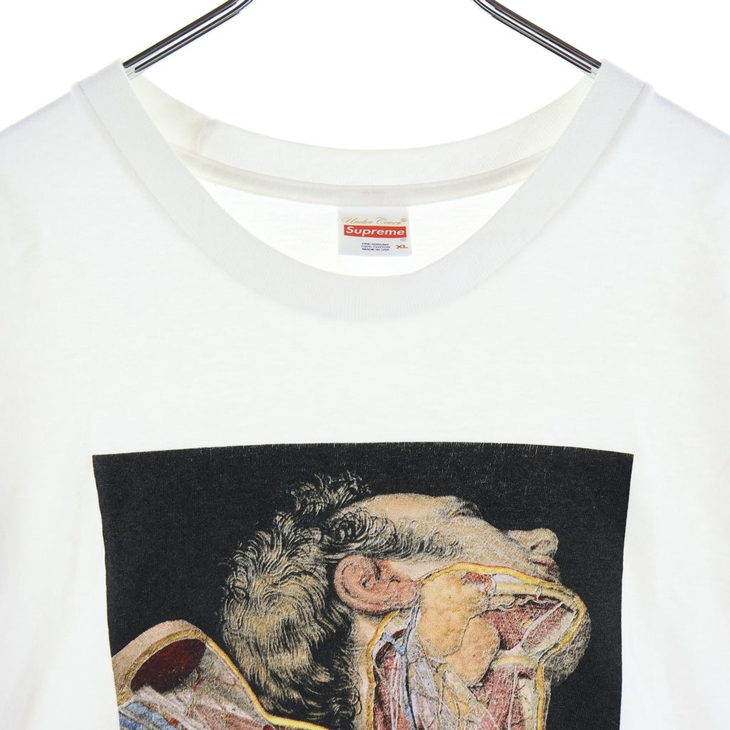 SUPREME(シュプリーム) 16AW ×UNDERCOVER Anatomy Tee ×アンダーカバー アナトミー プリント 半袖Tシャツ カットソー ホワイト