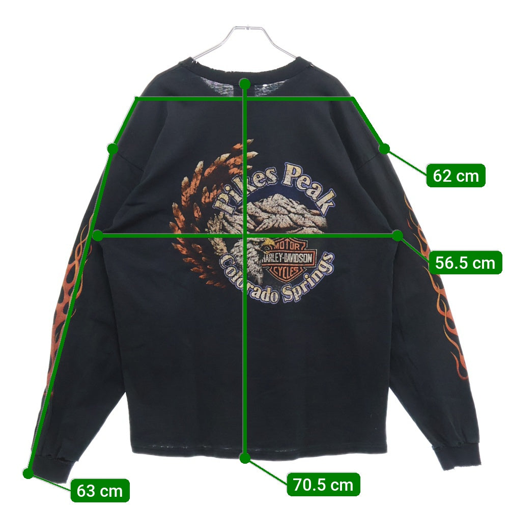 HARLEY DAVIDSON(ハーレーダビッドソン) 90-00s 袖フレーム 両面プリント長袖Tシャツ 長袖カットソー ブラック