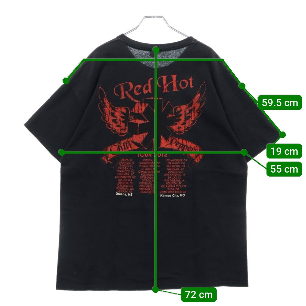 VINTAGE(ヴィンテージ) 10s RED HOT CHILI PEPPERS RHCP レッドホットペッパー 両面プリント Tシャツ 半袖カットソー ブラック