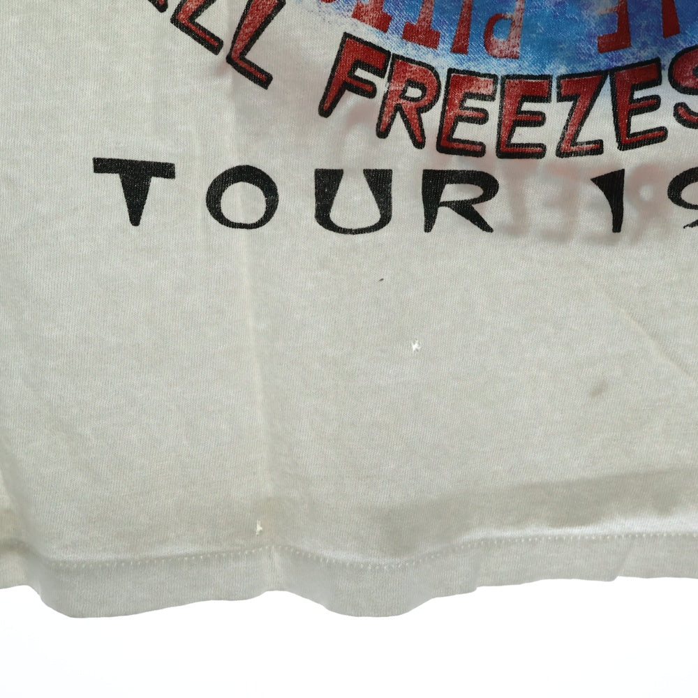 VINTAGE(ヴィンテージ) 90s EAGLE WHEN HELL FREEZES OVER イーグル 1994 TOUR Tシャツ 半袖カットソー ホワイト