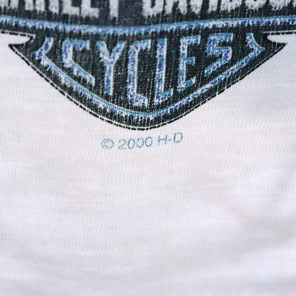 VINTAGE(ヴィンテージ) 00s HARLEY DAVIDSON DAVIES HACIENDA L/S TEE ハーレーダビッドソン ブルー フレイム ロンT 長袖カットソー ホワイト