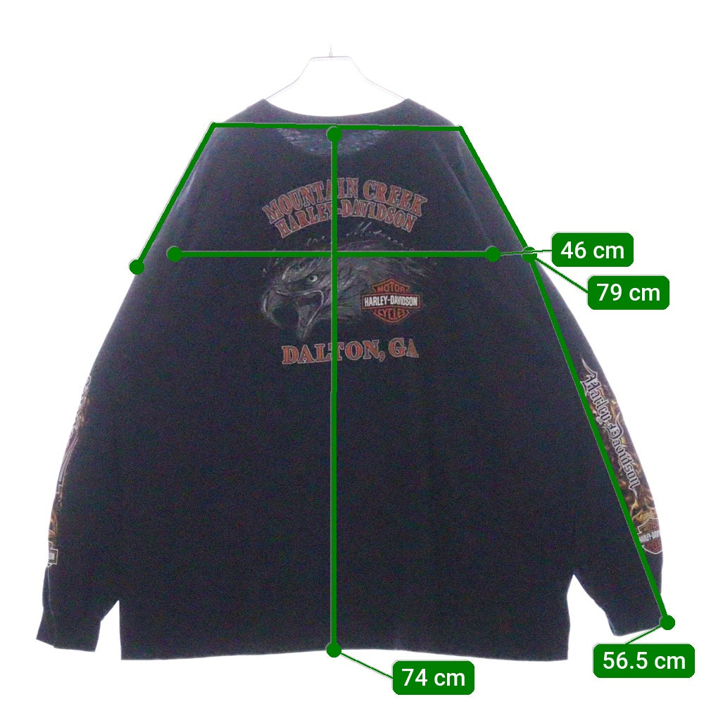 VINTAGE(ヴィンテージ) 00s HARLEY DAVIDSON MOUNTAIN CREEK DALTON L/S TEE ハーレーダビッドソン ロンT Tシャツ 長袖カットソー ブラック