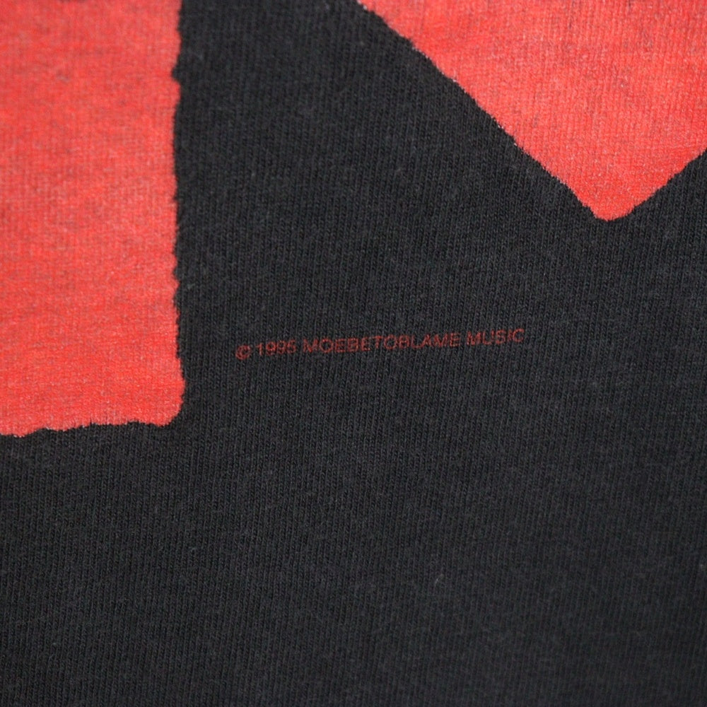 VINTAGE(ヴィンテージ) 90S RED HOT CHILI PEPPERS ONE HOT MINUTE レッドホットチリペッパーズ ワンホットミニッツ 両面プリント 半袖Tシャツ ブラック
