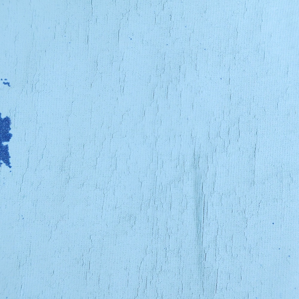 VINTAGE(ヴィンテージ) 90s SONIC YOUTH SEXXE BLUE ソニックユース 両面プリント Tシャツ 半袖カットソー ブルー