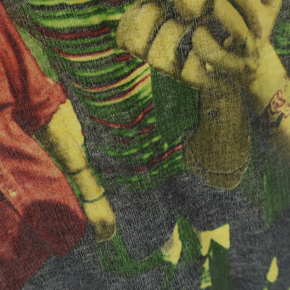 VINTAGE(ヴィンテージ) 90s GREEN DAY DOOKIE TOUR グリーンデイ ドゥーキー ツアー Tシャツ 半袖カットソー ホワイト