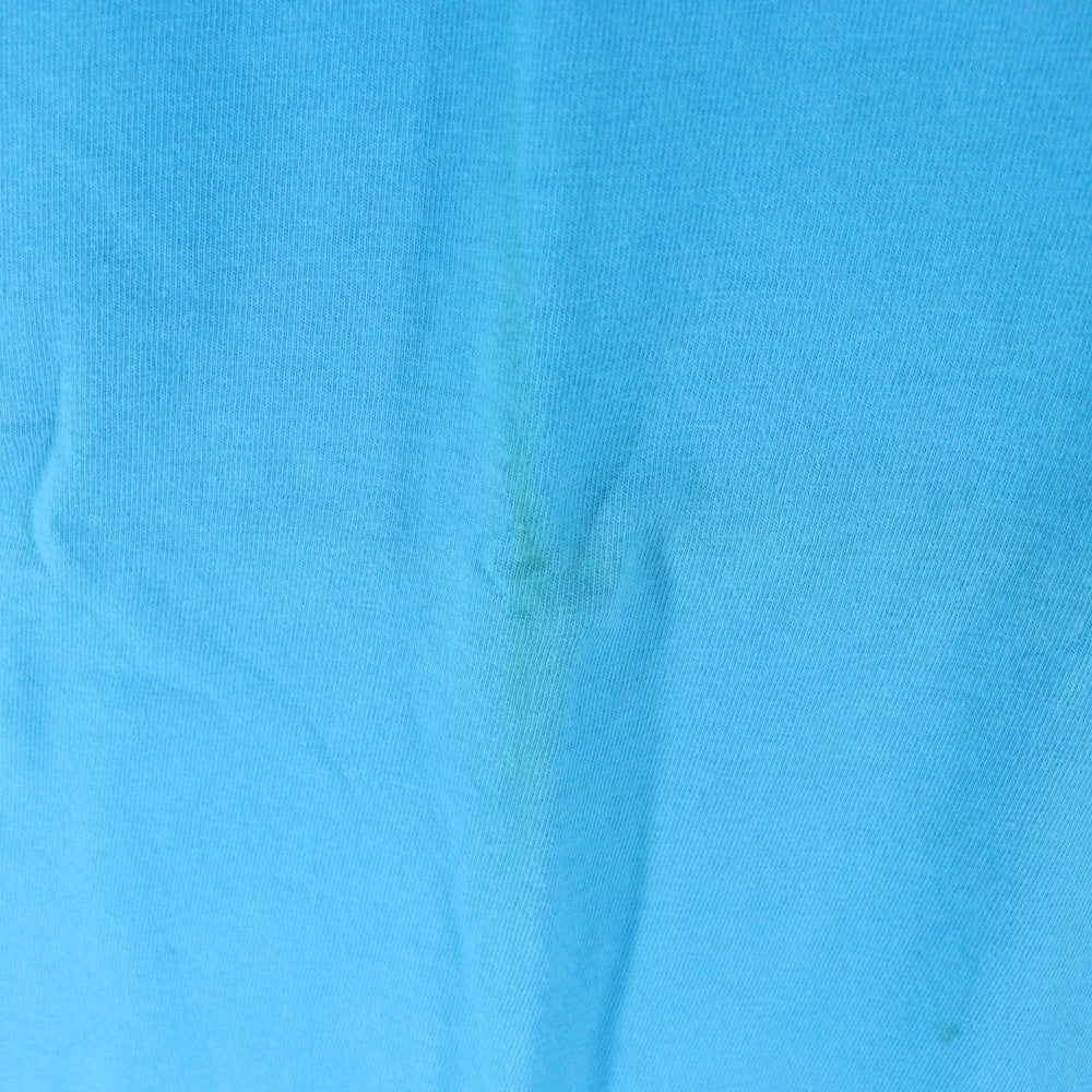 VINTAGE(ヴィンテージ) 90s Harley-Davidson RIVER RUN 1995 ハーレーダビッドソン プリント 半袖tシャツ ブルー