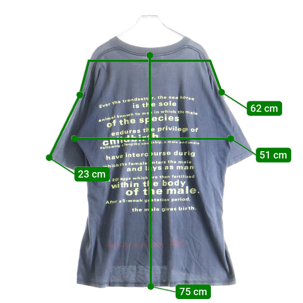 VINTAGE(ヴィンテージ) 90s NIRVANA SEAHORSE ALL APOLOGIES