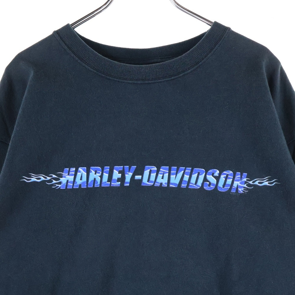HARLEY DAVIDSON(ハーレーダビッドソン) 00s VINTAGE BLUE FLAME L/S