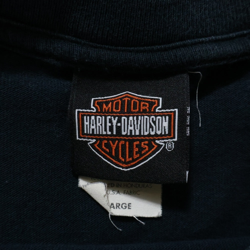 HARLEY DAVIDSON(ハーレーダビッドソン) 00s VINTAGE BLUE FLAME L/S
