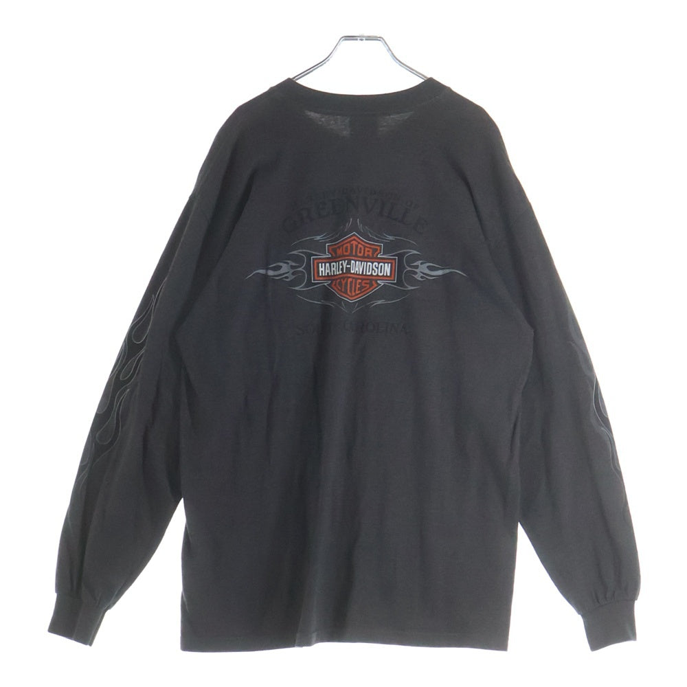 HARLEY DAVIDSON(ハーレーダビッドソン) Greenville Sleeve Flame 袖フレイム ロゴ 長袖Tシャツ ロンT グレー