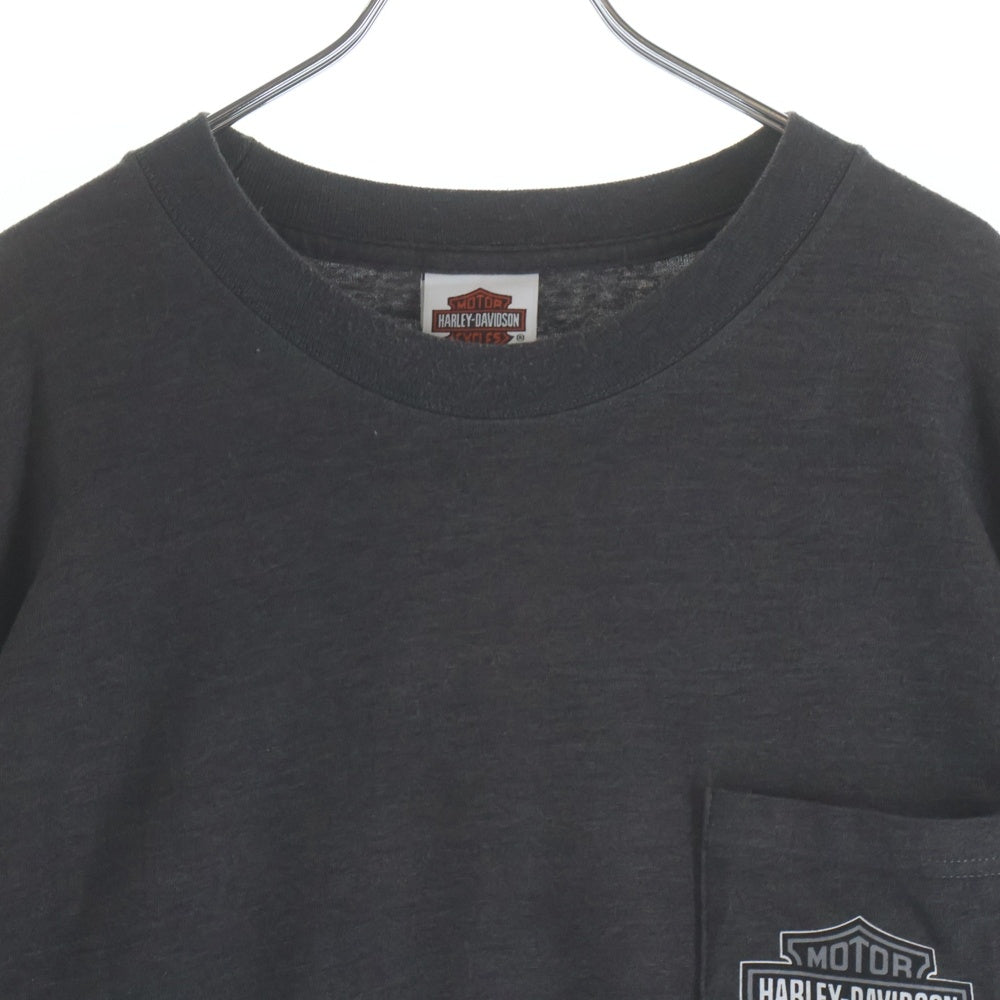 HARLEY DAVIDSON(ハーレーダビッドソン) Greenville Sleeve Flame 袖フレイム ロゴ 長袖Tシャツ ロンT グレー