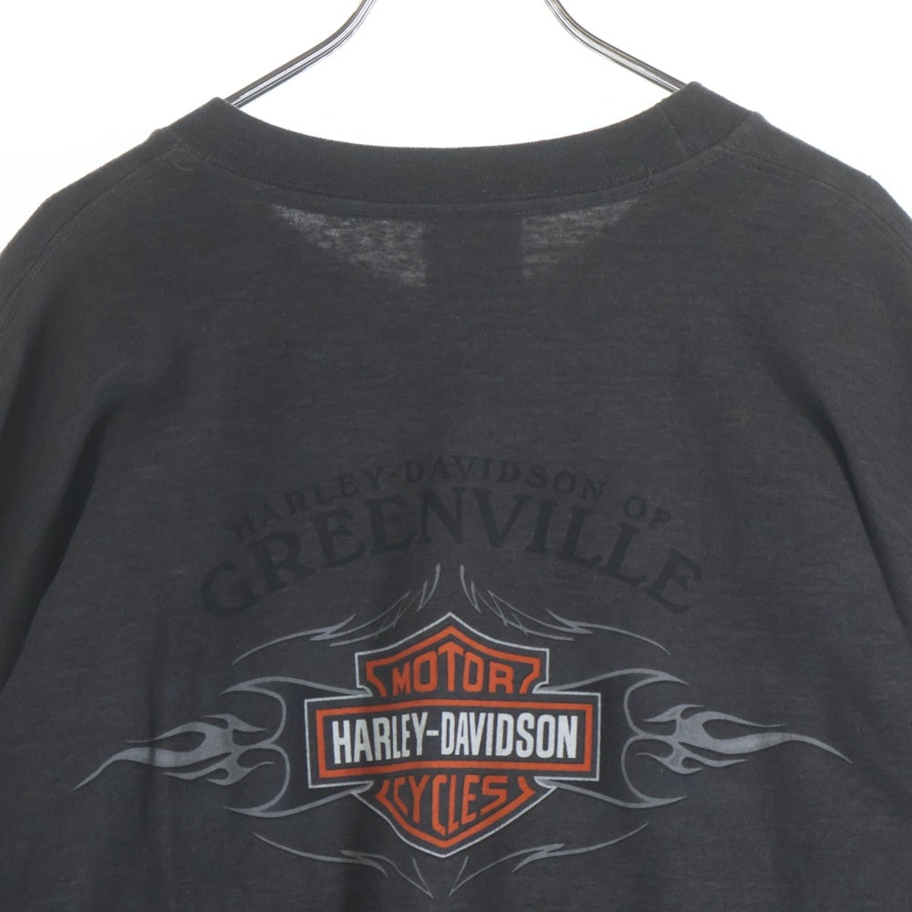 HARLEY DAVIDSON(ハーレーダビッドソン) Greenville Sleeve Flame 袖フレイム ロゴ 長袖Tシャツ ロンT グレー