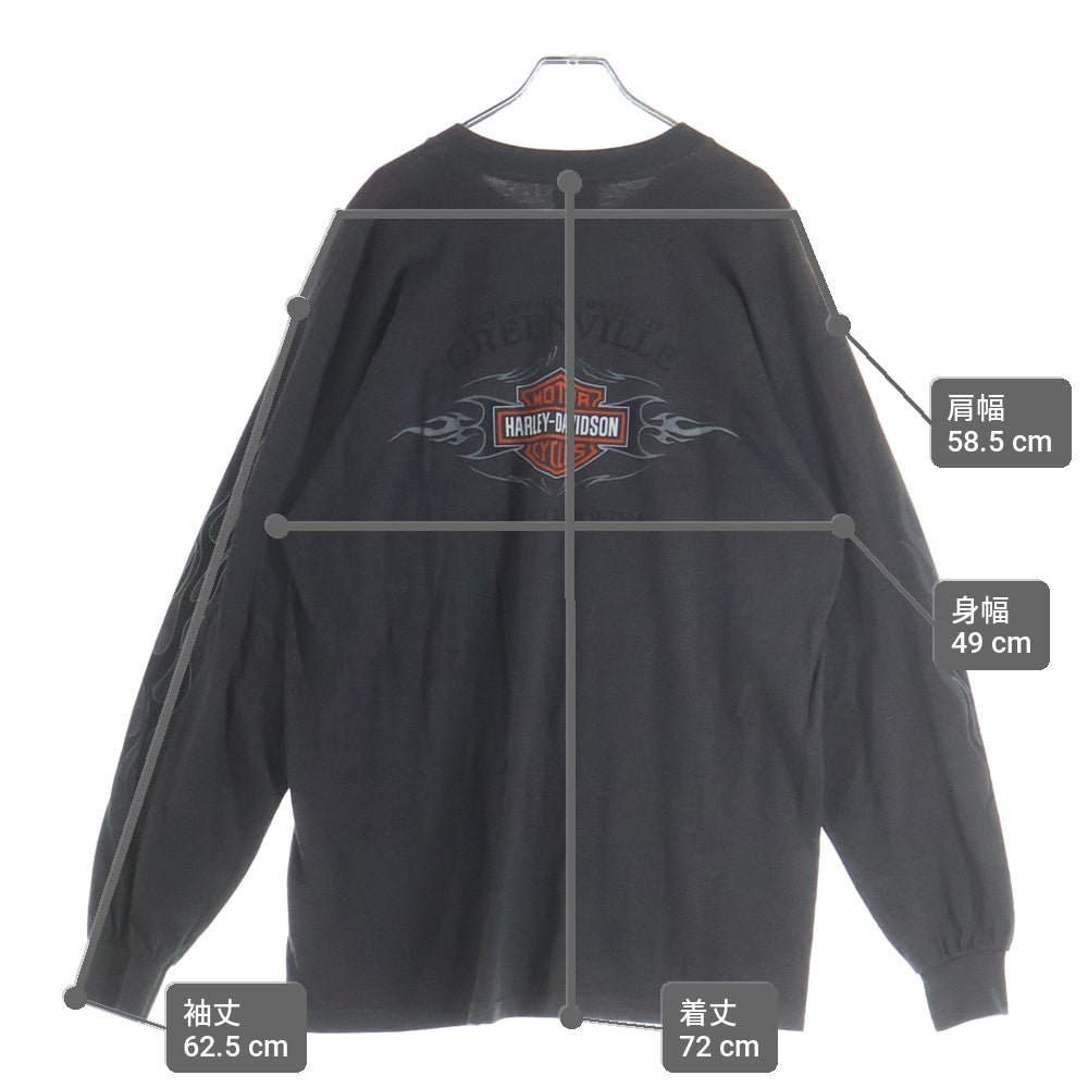 HARLEY DAVIDSON(ハーレーダビッドソン) Greenville Sleeve Flame 袖フレイム ロゴ 長袖Tシャツ ロンT グレー