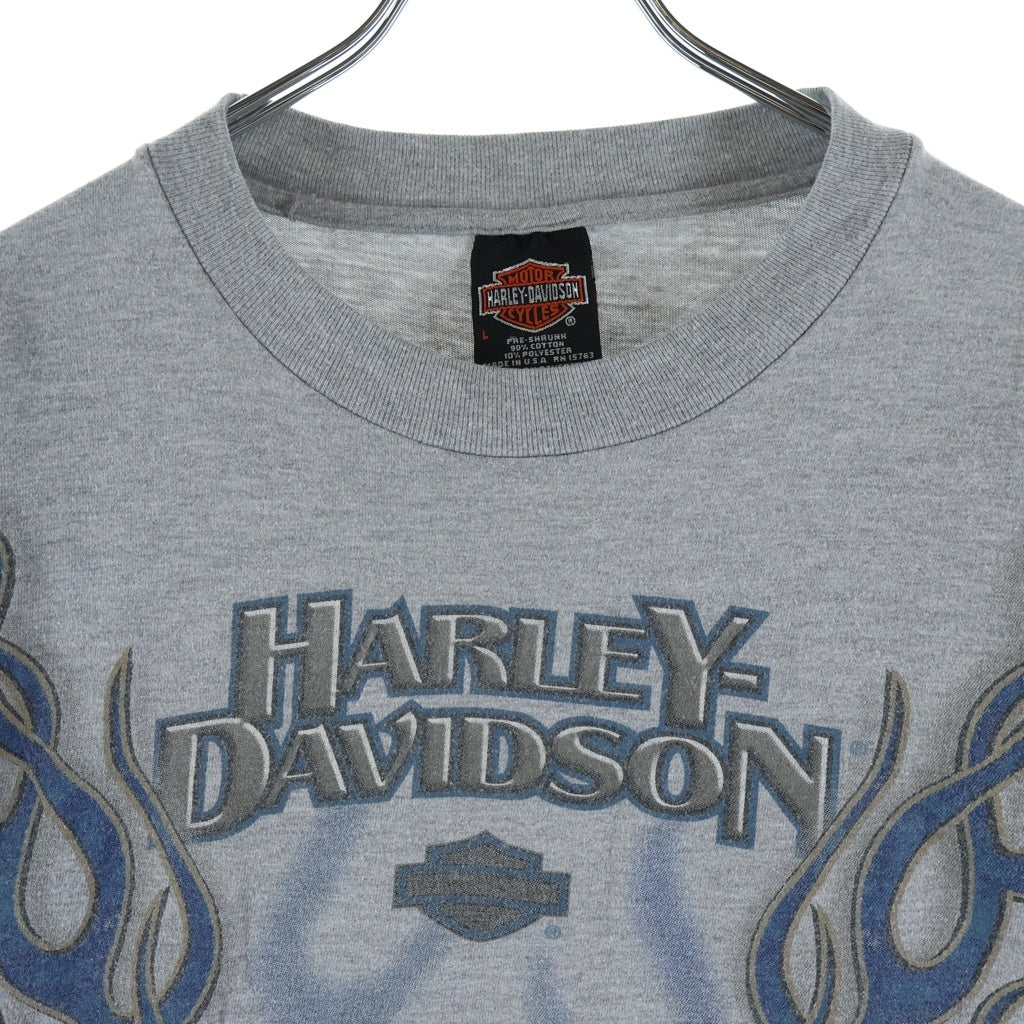 HARLEY DAVIDSON(ハーレーダビッドソン) 90s VINTAGE BLUE FLAME L/S TEE ブルーフレイム 袖プリント 長袖Tシャツ カットソー ロンT グレー