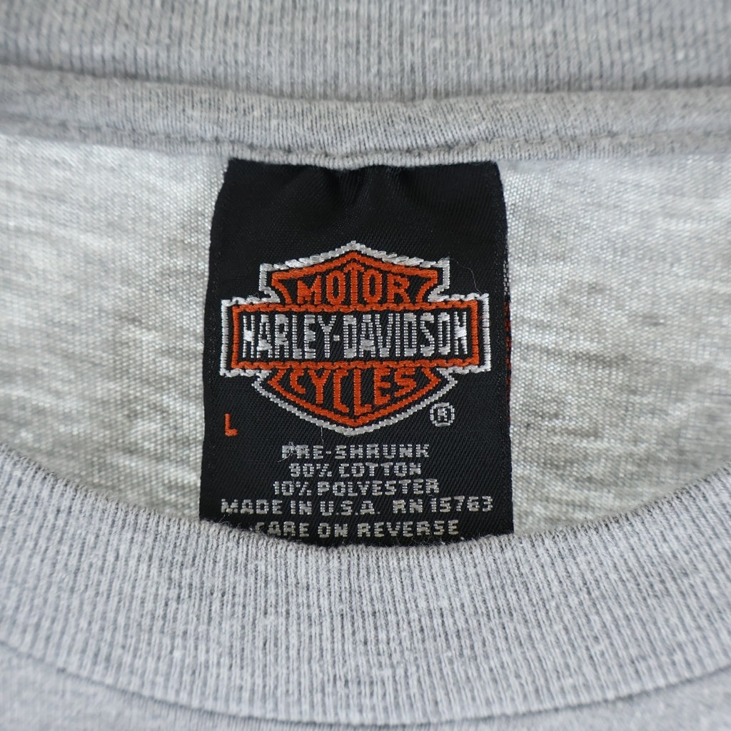 HARLEY DAVIDSON(ハーレーダビッドソン) 90s VINTAGE BLUE FLAME L/S TEE ブルーフレイム 袖プリント 長袖Tシャツ カットソー ロンT グレー