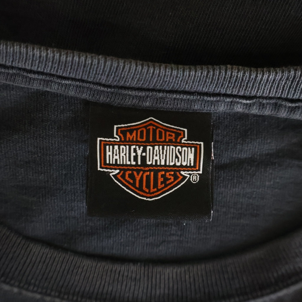 HARLEY DAVIDSON(ハーレーダビッドソン) 00S BAR&SHIELD INFERNO FLAME SLEEVE L/S TEE 袖フレイム 両面プリント 長袖カットソーTシャツ ブラック