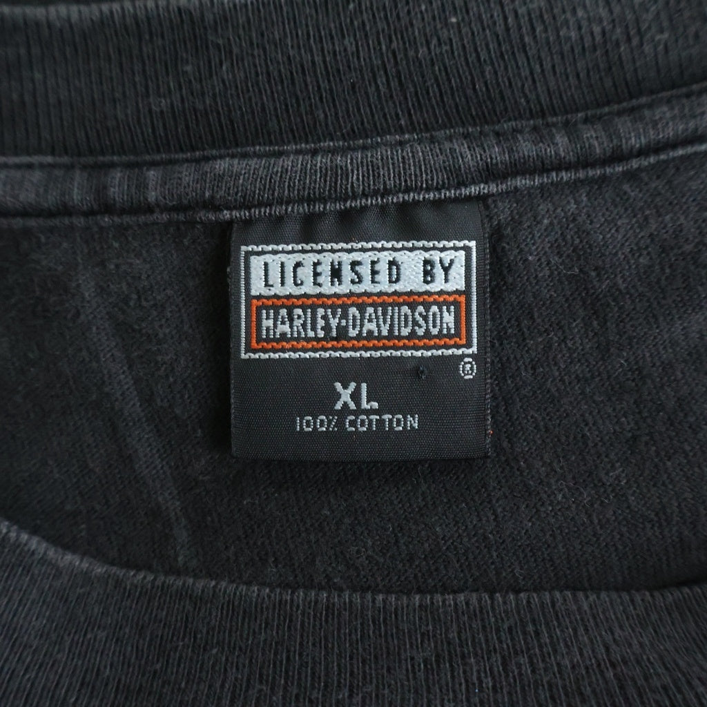 HARLEY DAVIDSON(ハーレーダビッドソン) 90s VINTAGE EAGLE LIGHTNING 1995 LICENSEDタグ イーグル 全面ライトニング 半袖プリントTシャツ ブラック