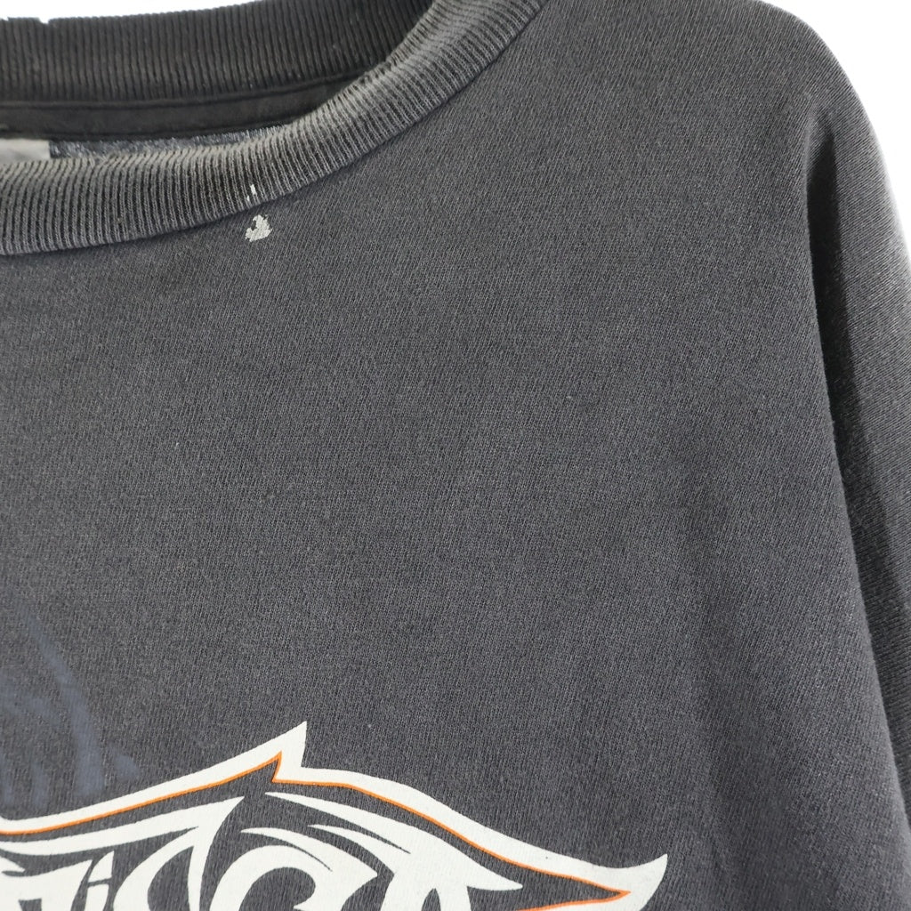 SAINT MICHAEL(セントマイケル) 25SS INSANITY ML LS TEE フレイムロゴ ダメージ加工 長袖Tシャツ ロンT グレー SM-HR8-0000-C41