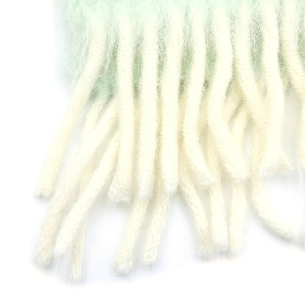 LOEWE(ロエベ) Logo Wool Mohair Scarf アナグラム ウールモヘアスカーフ マフラー グリーン F811257X03