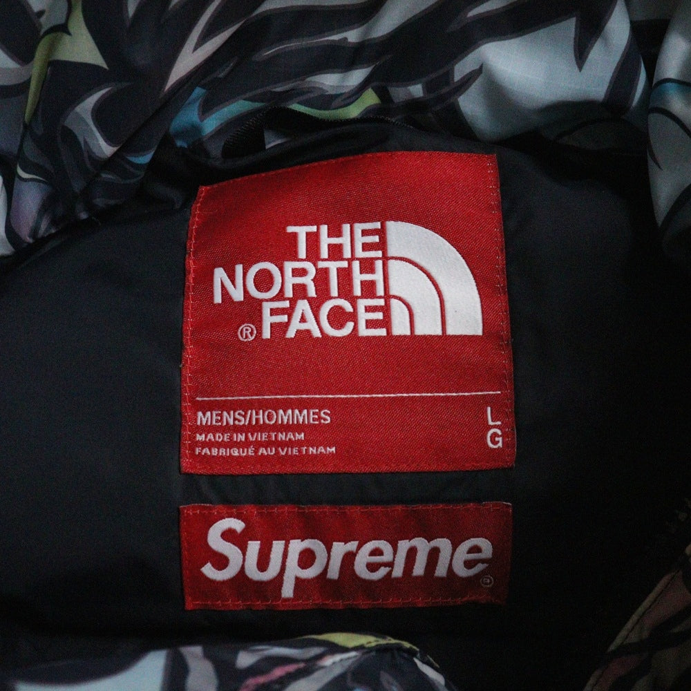 SUPREME(シュプリーム) 22AW×THE NORTH FACE 700-Fill Down Parka Multicolor Dragon ザノースフェイス フィルダウンパーカー ドラゴン 総柄 マルチカラー ND52206I