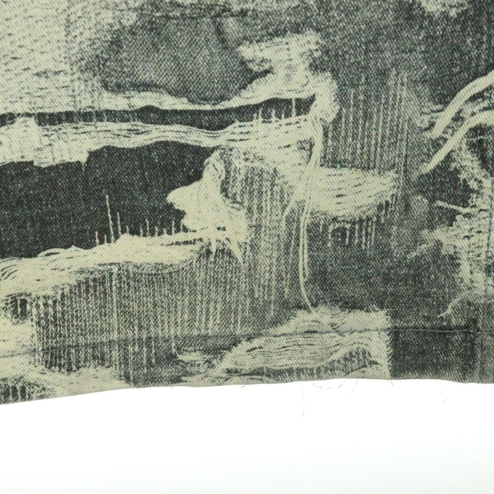 NO BRAND(ノーブランド) CEEC （シーク） ダメージプリント加工 ワイドデニムパンツ グレー