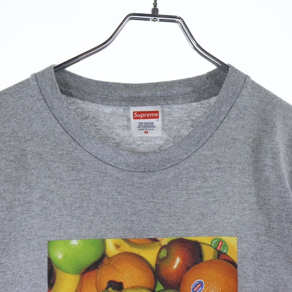 SUPREME(シュプリーム) 19SS Fruit Tee フルーツ プロントクルーネック半袖Tシャツ カットソー グレー