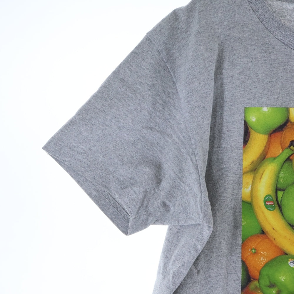 SUPREME(シュプリーム) 19SS Fruit Tee フルーツ プロントクルーネック半袖Tシャツ カットソー グレー