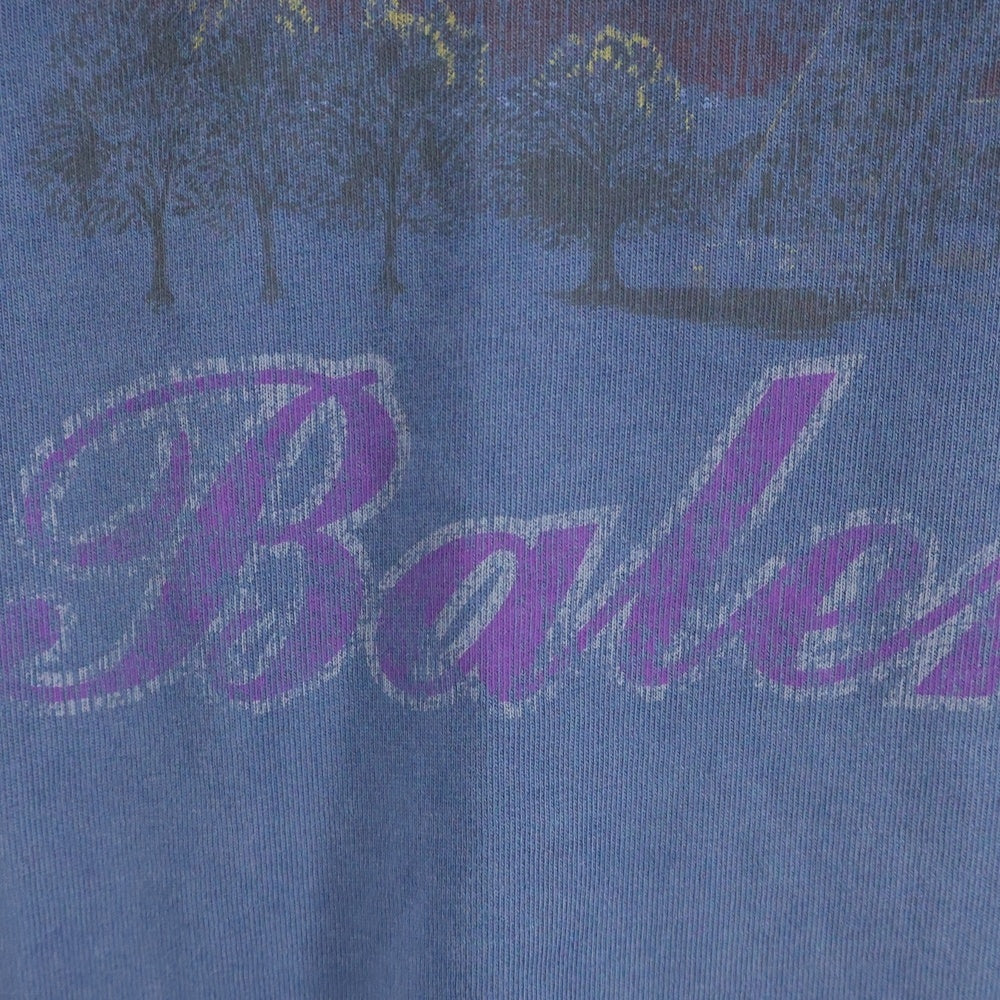 BALENCIAGA(バレンシアガ) 24SS PARIS MOON Oversized Tee ヴィンテージ加工 パリスムーン 半袖Tシャツ グランジブルー 739028 TQV01