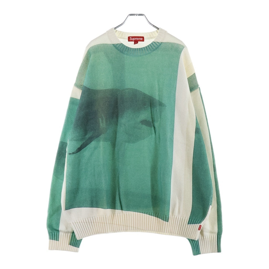 SUPREME(シュプリーム) 25SS Damien Hirst Sweater ダミアンハースト クルーネックニット セーター 厚手 ホワイト/グリーン