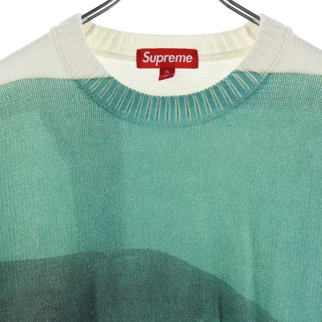 SUPREME(シュプリーム) 25SS Damien Hirst Sweater ダミアンハースト クルーネックニット セーター 厚手 ホワイト/グリーン