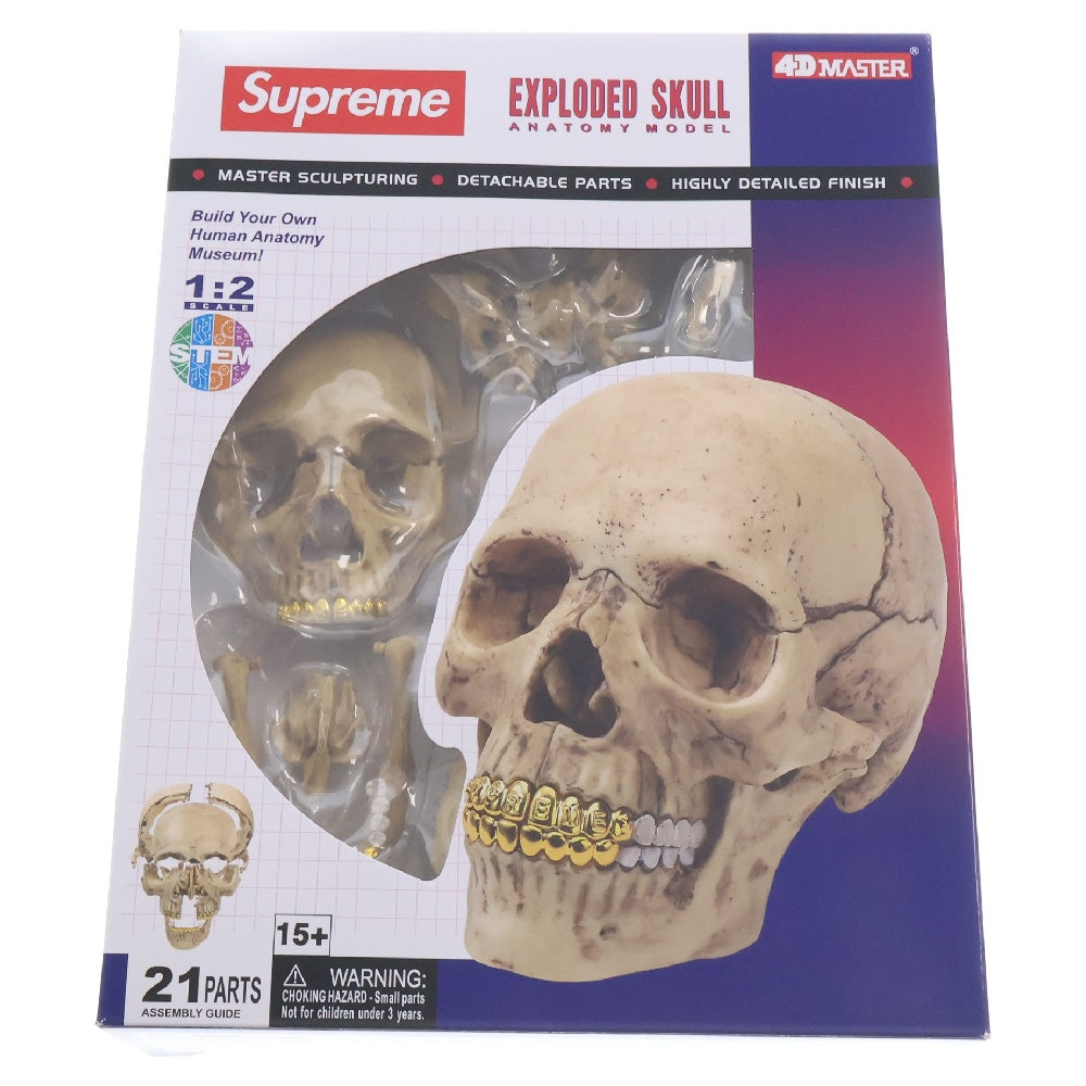 SUPREME(シュプリーム) 23AW 4D Model Human Skull Natural 4Dモデルヒューマンスカルナチュラル ホビー 人形 ホワイト