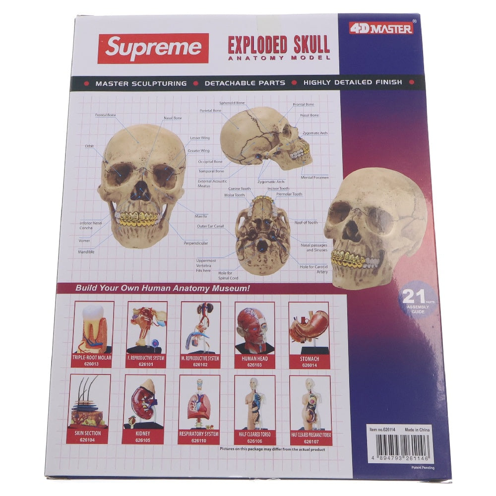 SUPREME(シュプリーム) 23AW 4D Model Human Skull Natural 4Dモデルヒューマンスカルナチュラル ホビー 人形 ホワイト
