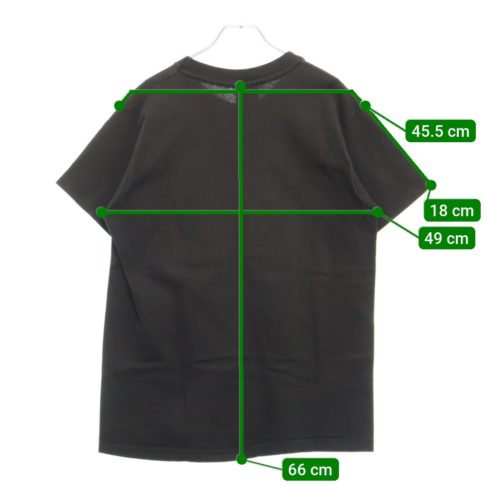 VINTAGE(ヴィンテージ) 90's RED HOT CHILI PEPPERS 1993 THERMOGRAPHY GIANT レッドホットチリペッパーズ サーモグラフィー プリント半袖Tシャツ カットソー ブラック