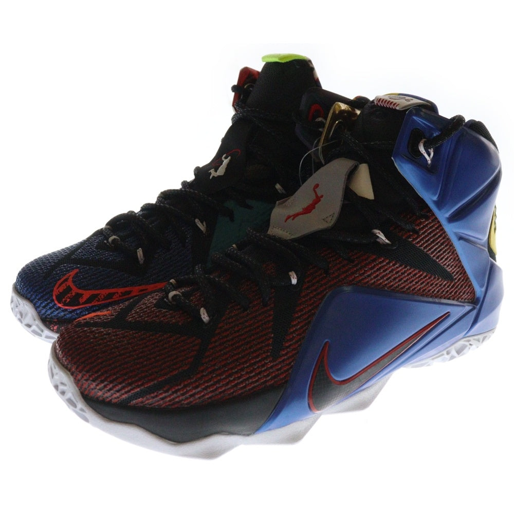 NIKE(ナイキ) 【観賞用 2015年製】LEBRON 12 SE802193-909 レブロン12 ハイカットスニーカー シューズ マルチカラー US8/26cm