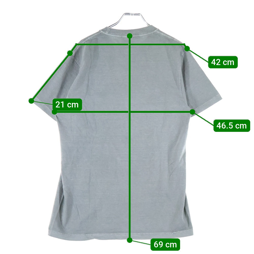 STUSSY(ステューシー) NO.4 PIG DYED TEE フロントロゴプリント クルーネック半袖Tシャツカットソー グレー